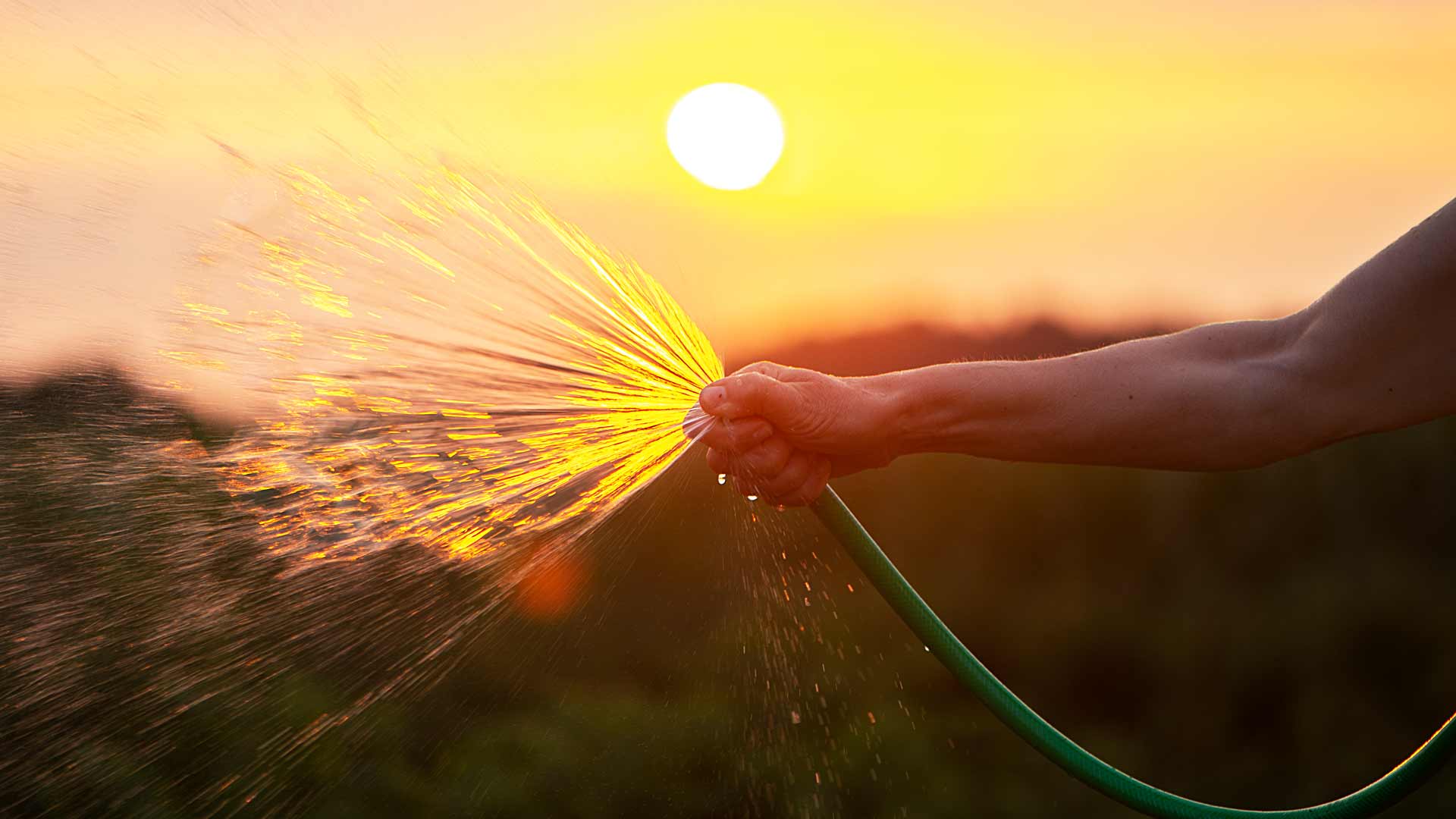 Garden Hose Dilemma: Structured Water to the Rescue